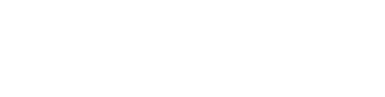 Airvision Film logo